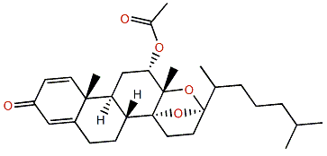 Isogosterone A